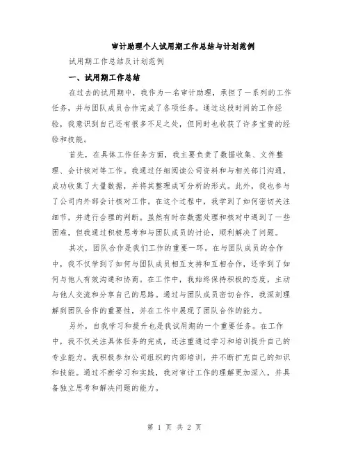 审计助理个人试用期工作总结与计划范例