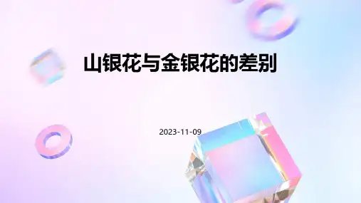 山银花与金银花的差别