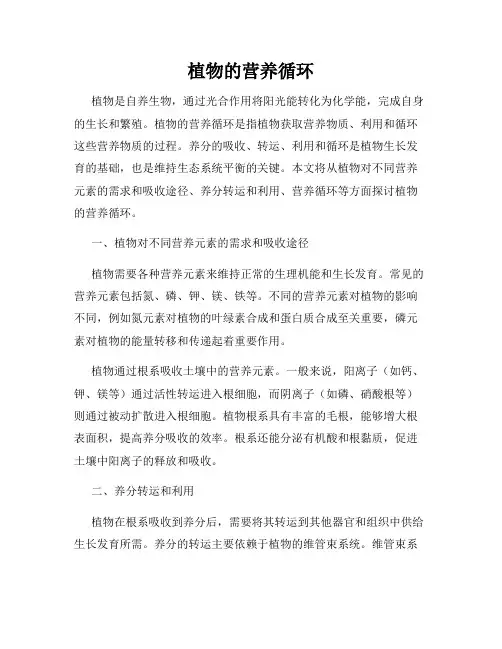 植物的营养循环