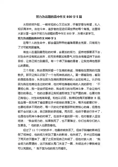 努力为话题的高中作文800字5篇