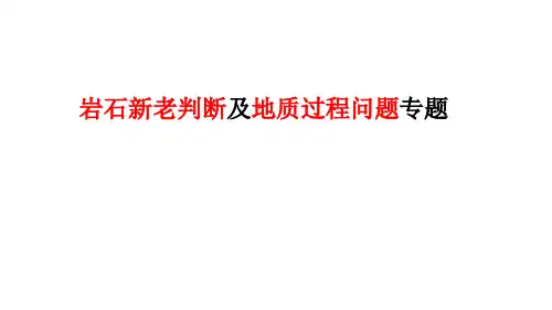 高考地理复习课件+岩石新老判断及地质过程问题专题