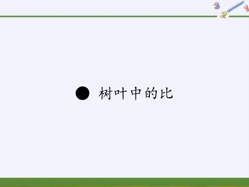 六年级数学上册课件-树叶中的比(2)