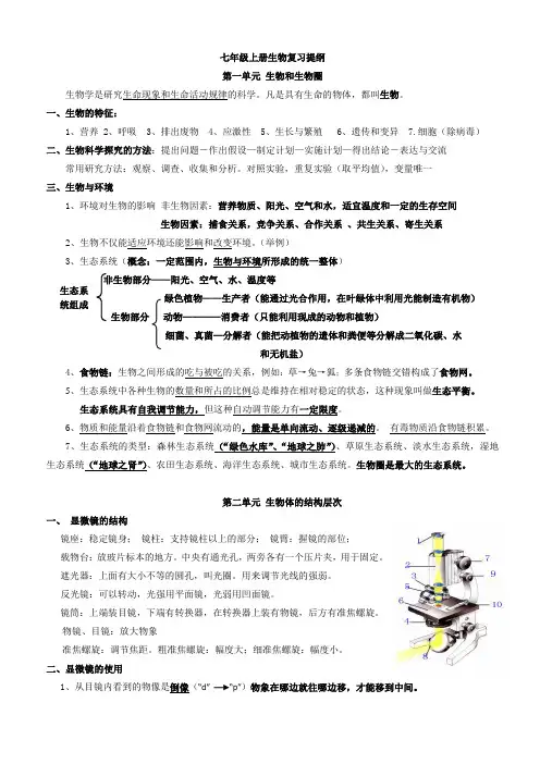 2023-2024学年人教版生物七年级上册复习提纲