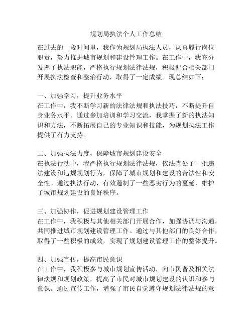 规划局执法个人工作总结