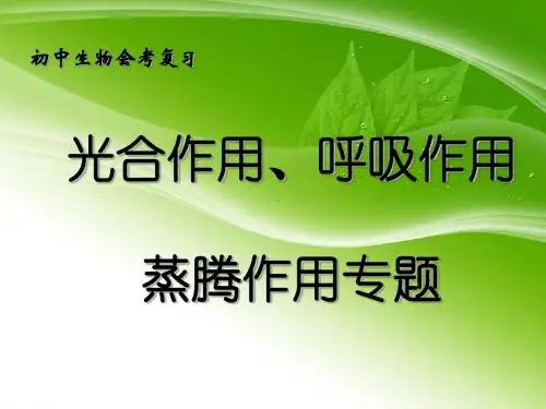 光合作用、呼吸作用、蒸腾作用专题复习ppt