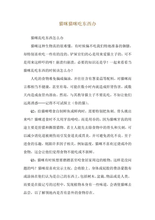 猫咪猫咪吃东西办