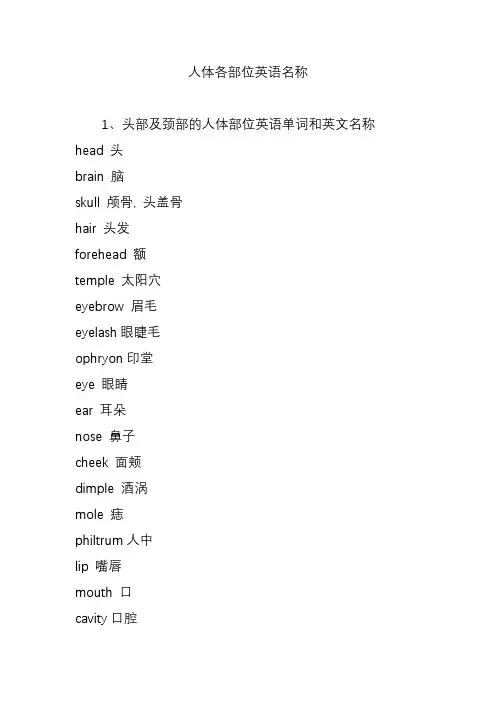 人体各部位英语名称