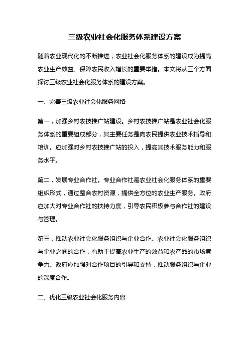 三级农业社会化服务体系建设方案