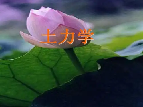 土力学课件第六章