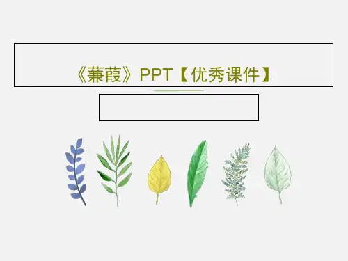 《蒹葭》PPT【优秀课件】共36页