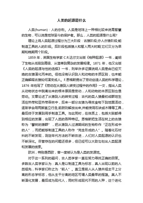 人类的起源是什么