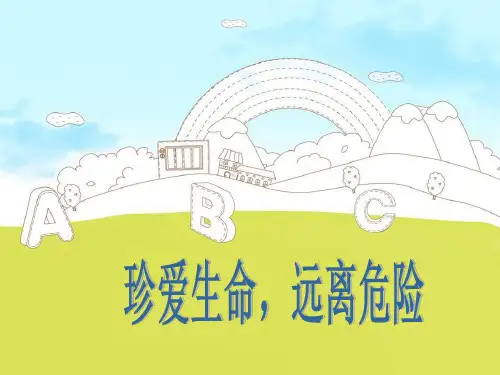 珍爱生命远离危险 ppt课件