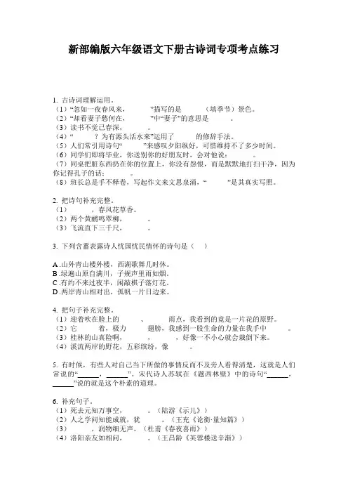 新部编版六年级语文下册古诗词专项考点练习