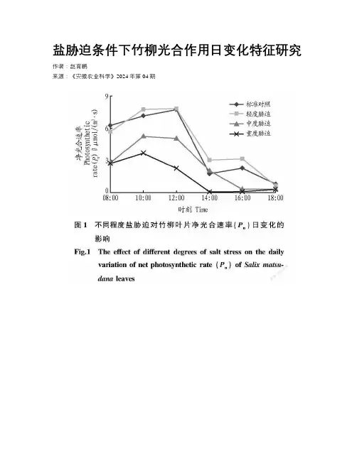 盐胁迫条件下竹柳光合作用日变化特征研究