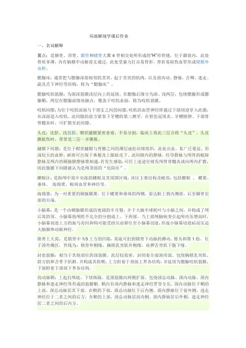 局部解剖学课后作业