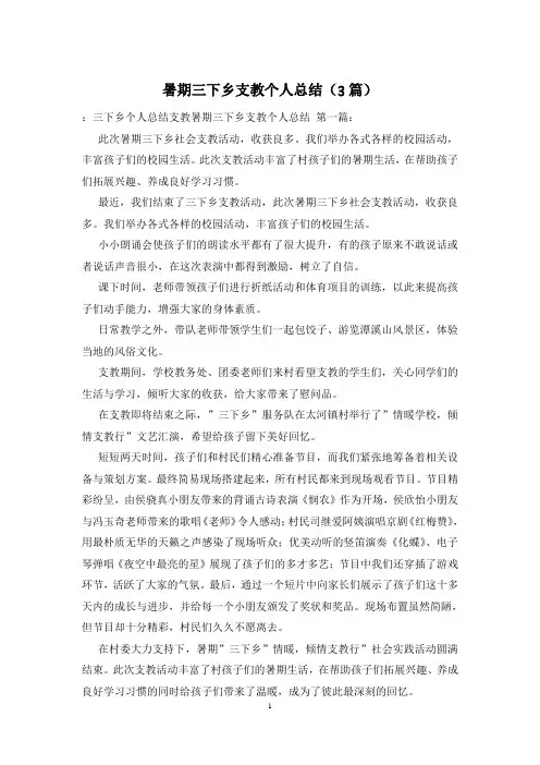 暑期三下乡支教个人总结(3篇)