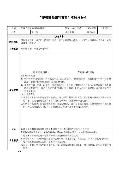 “观察酵母菌和霉菌”实验报告单