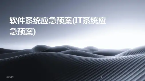 2024年度软件系统应急预案(IT系统应急预案)