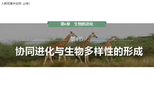 协同进化与生物多样性的形成课件高一下学期生物人教版必修2(1)