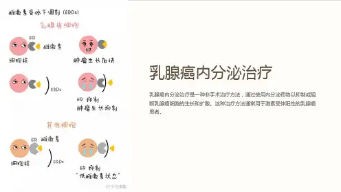 乳腺癌内分泌治疗