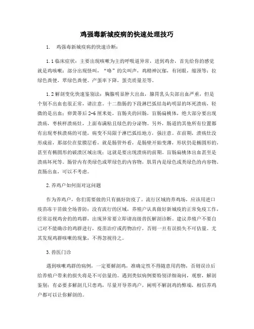 鸡强毒新城疫病的快速处理技巧