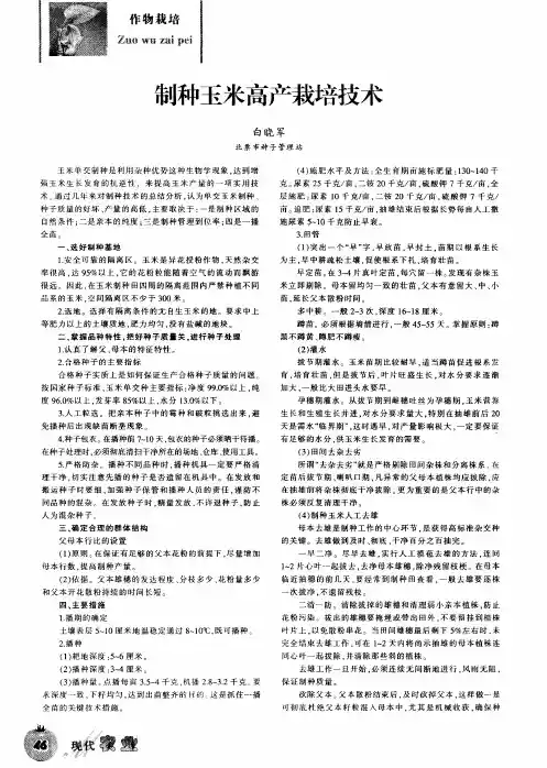 制种玉米高产栽培技术