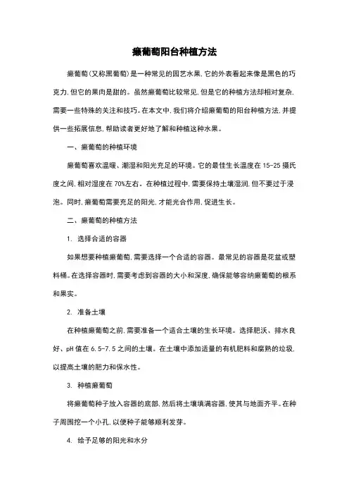 癞葡萄阳台种植方法