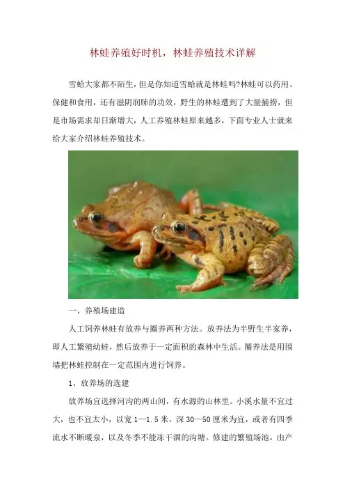 林蛙养殖好时机,林蛙养殖技术详解