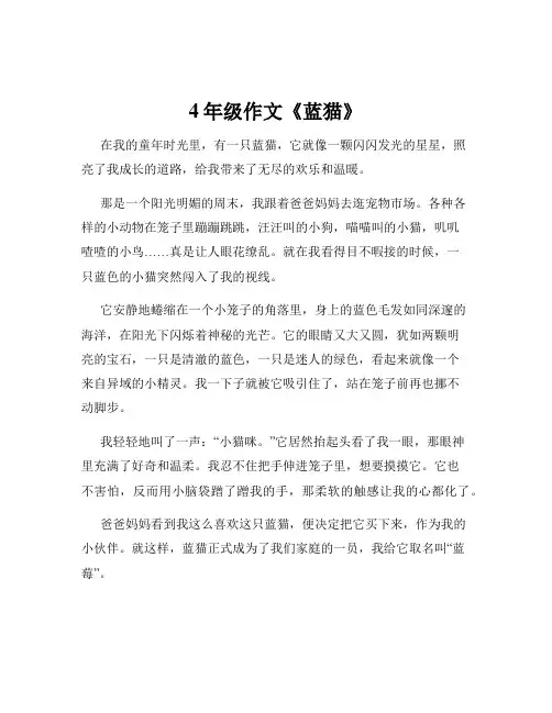 4年级作文《蓝猫》