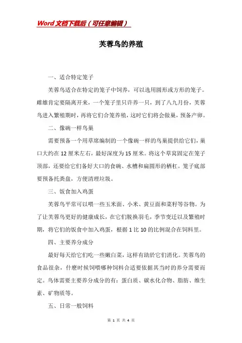 芙蓉鸟的养殖