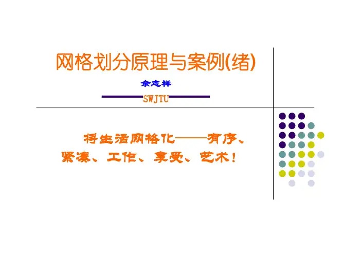 网格划分原理与实例(最终版本)