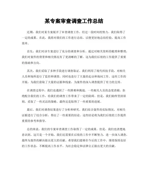 某专案审查调查工作总结