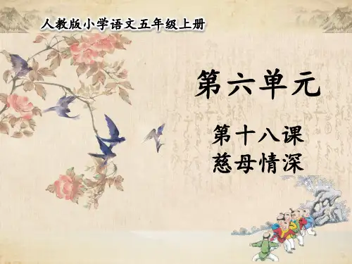 第18课 慈母情深   完美版课件 