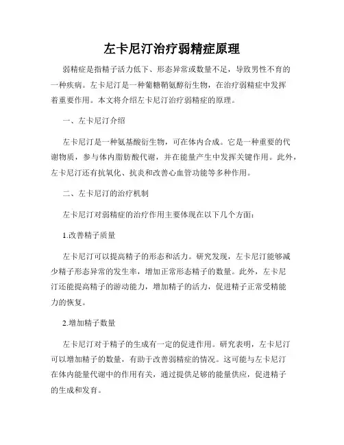左卡尼汀治疗弱精症原理