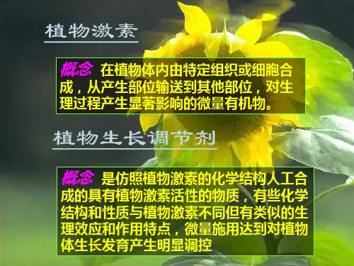 常见的植物的激素及其作用