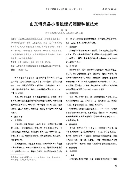 山东博兴县小麦浅埋式滴灌种植技术