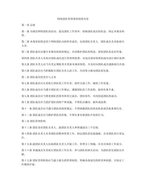 网络团队管理规章制度内容