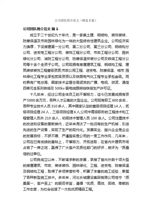 公司团队简介范文（精选3篇）
