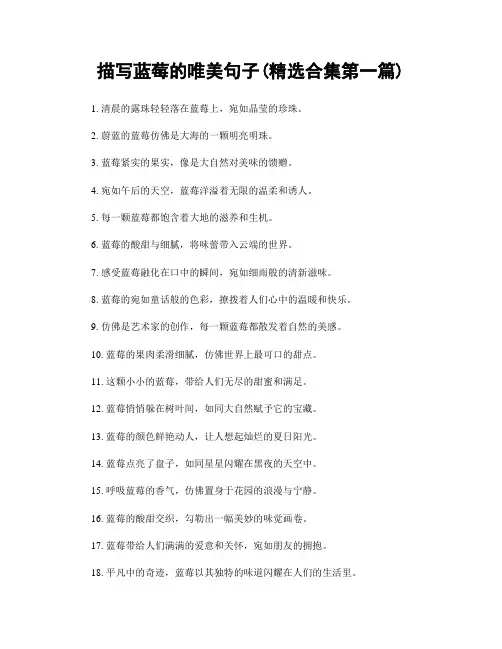 描写蓝莓的唯美句子(精选合集两篇)