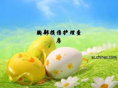 胸部损伤护理查房PPT课件