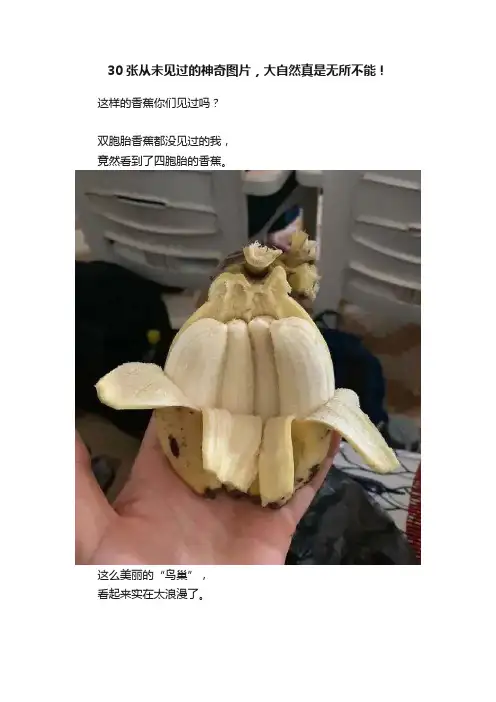 30张从未见过的神奇图片，大自然真是无所不能！