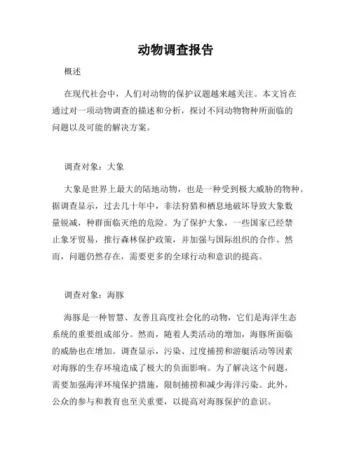 动物调查报告