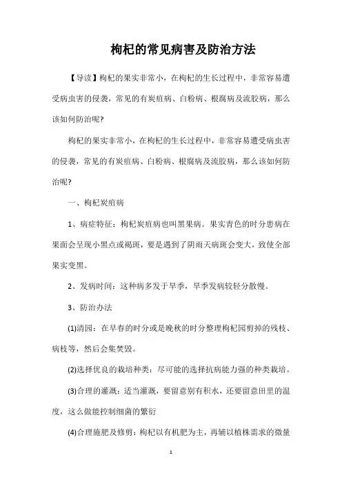 枸杞的常见病害及防治方法