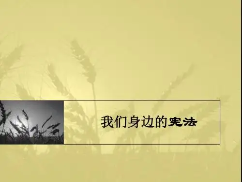 中国宪法课件