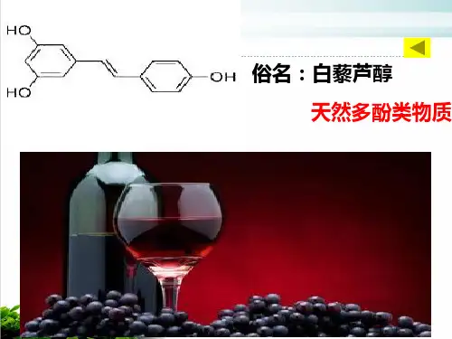 《酚》ppt课件 人教课标版