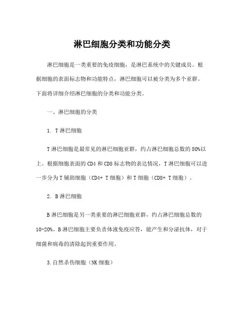 淋巴细胞分类和功能分类