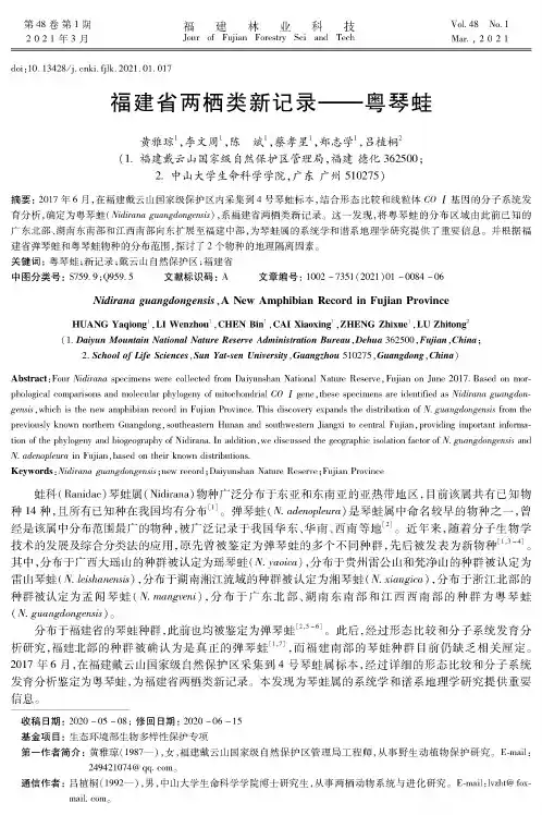 福建省两栖类新记录——粤琴蛙