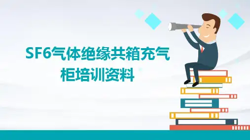 SF6气体绝缘共箱充气柜培训资料