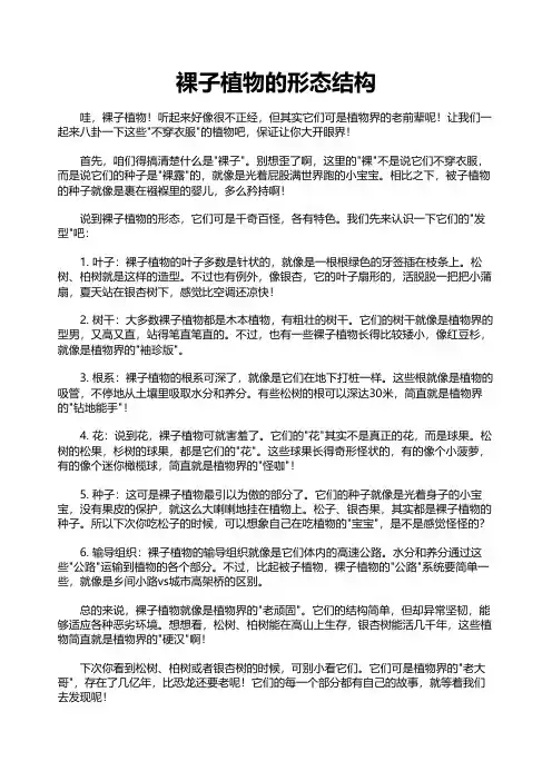 裸子植物的形态结构