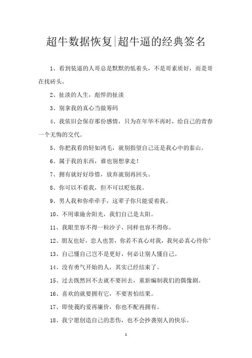 超牛数据恢复-超牛逼的经典签名